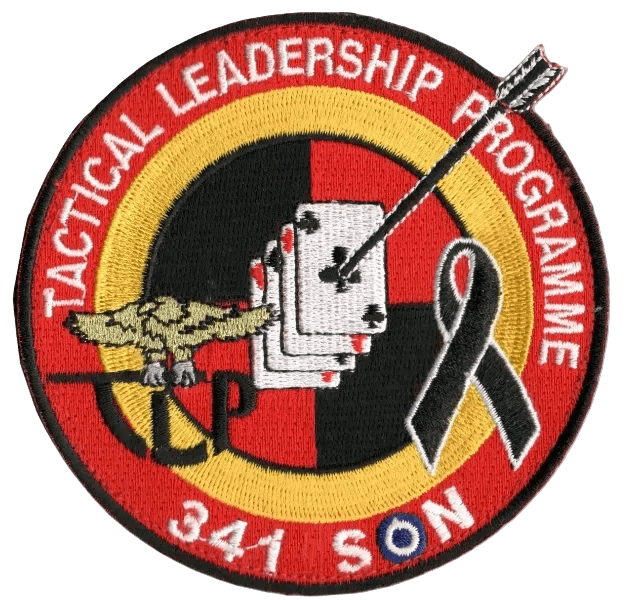 341 SQN Tactical Leadership Program