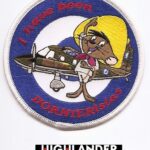 Embroidered patch with cartoon mouse in yellow sombrero saluting in front of Dornier Do-28, blue and white HAF roundel, red "I have been DORNIERistas" text.